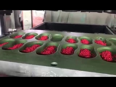 উচ্চমানের ইভিএ উপাদান রঙিন গ্রানুল প্যালেট জুতা তৈরি